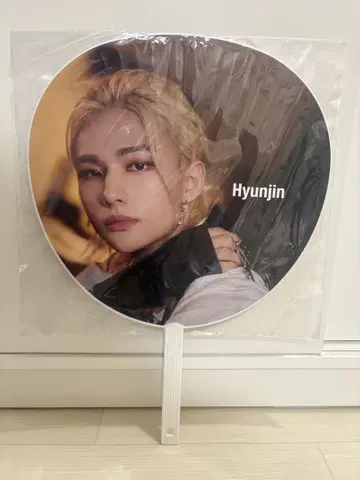 straykids all in 부채 현진