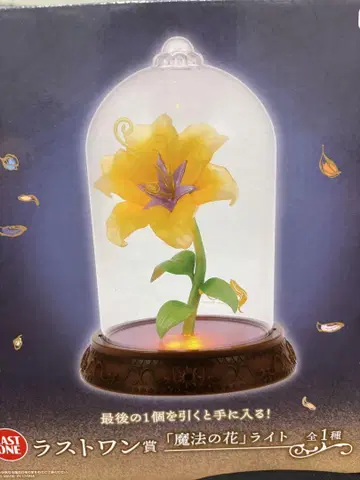 디즈니 프린세스 제일복권 라스트 원상 마법의 꽃 라이트