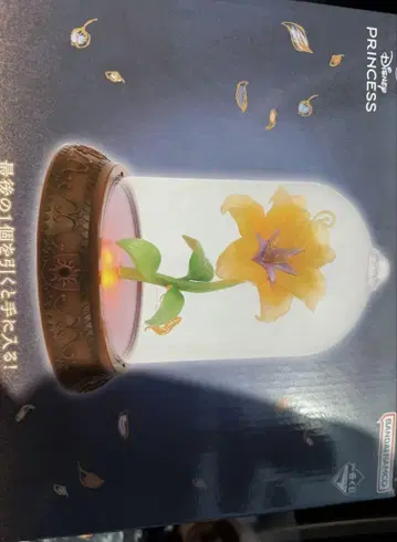 프린세스 복권 1번 복권 라스트 원