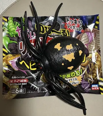 보물섬 늘어나는 위험한 리얼 위험 생물 거미