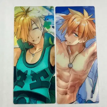 FGO 최종 재림전 편성 화면풍 카드 로빈 후드 2종
