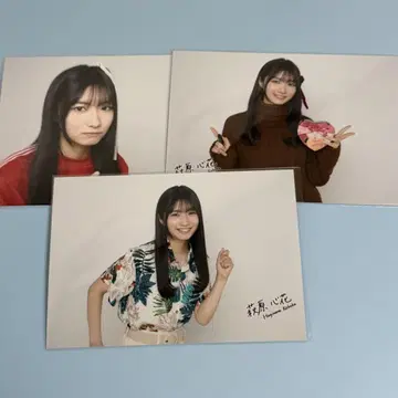 하기와라 코코 3종 컴프