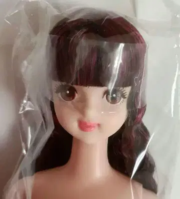 즐거운 인형 타마키 미사용