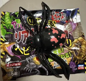 다카라지마사 늘어나는 위험한 리얼 위험 생물 리얼 거미