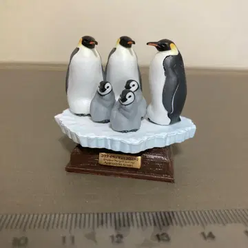 네이처 테크니컬러 남극 황제펭귄 (콜로니)