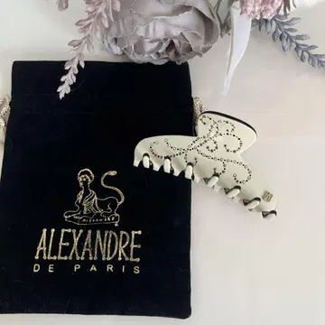 ALEXANDRE DE PARIS 헤어 클립 새상품급
