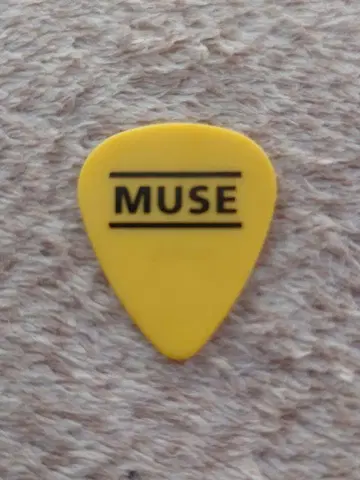 MUSE 내한 공연 2025 멤버 사용 피크
