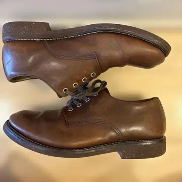 DANNER D219390 뉴버그 옥스퍼드