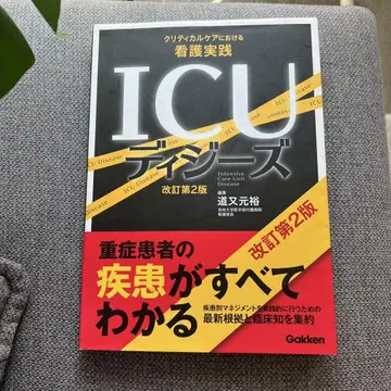 ICU 디지즈 크리티컬 케어에서의 간호 실천