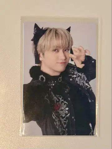 NINE LIVES 초특급 완전 생산 한정판 유키 트레이딩 카드