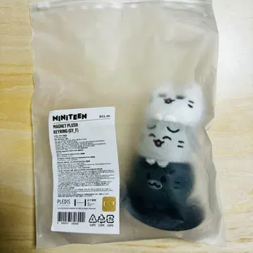 MINITEEN 마그넷 키링 준 세부치