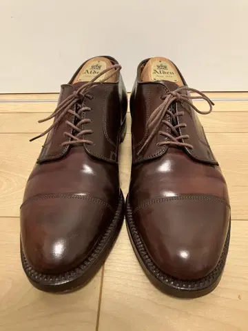 Alden 06608 브룩스브라더스 별주 스트레이트 팁 US 8E