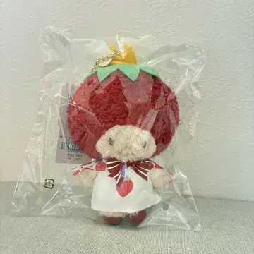 Maison de FLEUR 딸기신문 딸기 왕자 참