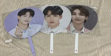 SEVENTEEN 정한 부채