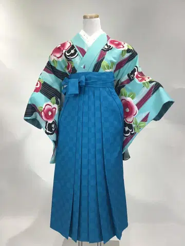 졸업 하카마 2점 세트 (2자루 소매와 하카마)