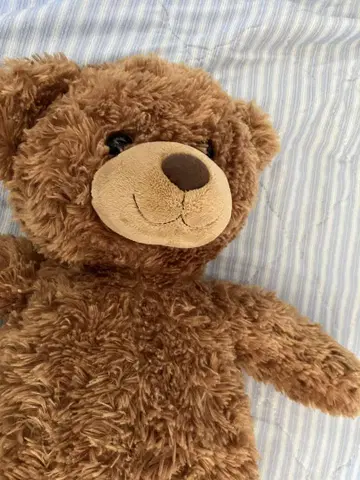 브라운색 곰 봉제 인형 중형
