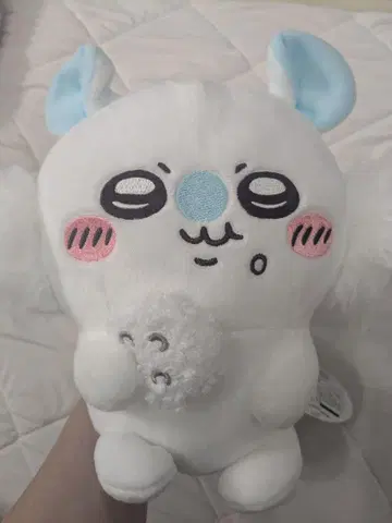 치이카와 모몬가