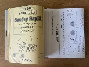 Sunday SapiX 초등학교 6학년 과학 SS 특별 훈련