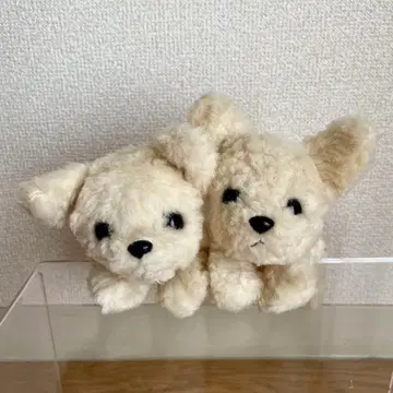 몬스이유 강아지 치와와 봉제 인형 2마리 세트