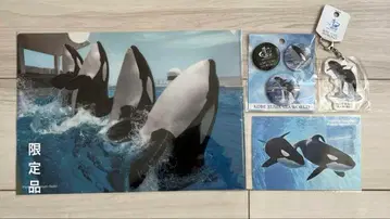 범고래 오르카 벨루가 카모가와 씨월드 한정판 등 클리어 파일 등