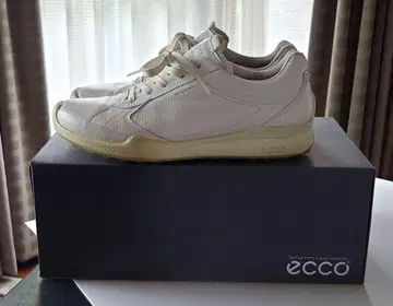 ecco 골프화 여성용 37 (23.5cm)