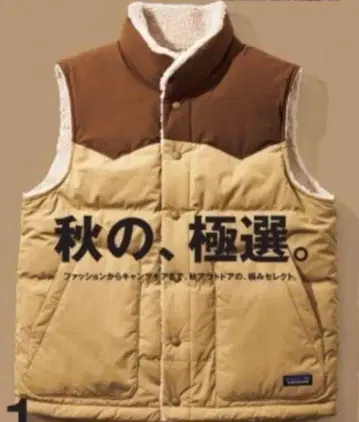patagonia 리버서블 비비 다운 베스트 2021 A/W