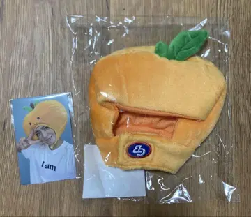박보검 포레본 햇 orange