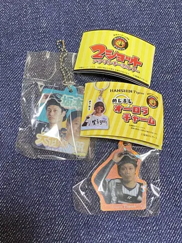 한신 타이거즈 메지루시 오로라 참 & 2샷 아크릴 키링 1