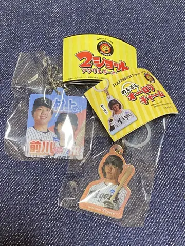 한신 타이거즈 메지루시 오로라 참 & 2샷 아크릴 키링 3