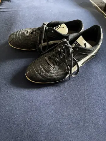 PUMA 파라메히코 축구 스파이크 24.5