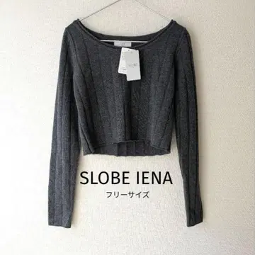 SLOBE IENA 그레이 크롭 니트 스웨터 울 프리 사이즈
