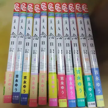 주인일기 1권~11권 전11권 전권 완결 세트