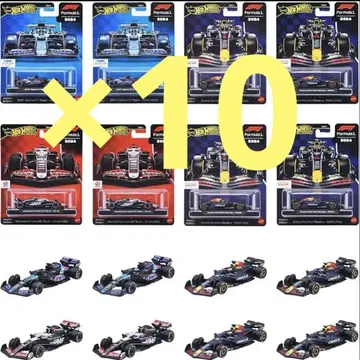 HW 프리미엄 레이스 모듬 F1 HRV11-986F 10상자