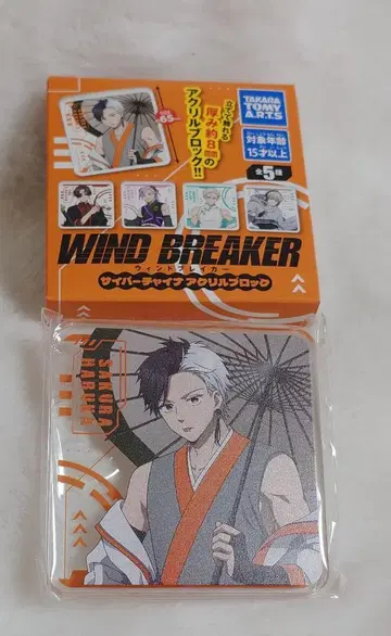 WINDBREAKER 윈브레 사이버 차이나 아크릴 블록 사쿠라 하루카