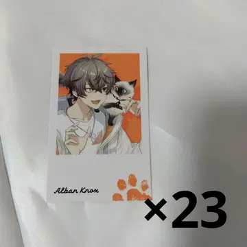 알반 녹스 랜덤 폴라로이드풍 카드 23종