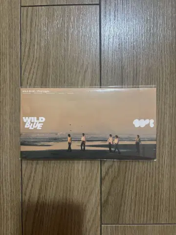 WILD BLUE memorial 8cm singleCD 포토 카드 포함