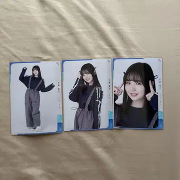 나의 파랑 내가 보고 싶었던 파랑 안노 소이 트랙 자켓 브로마이드 컴프