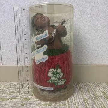하와이안 돌진 보드 인형