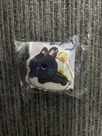 미개봉 새상품 RIIZE 라이즈시 쿠션 키링 원빈