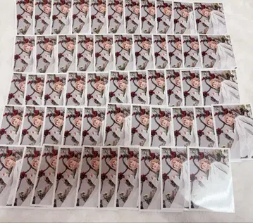 킹프리 나가세 렌 공식 사진