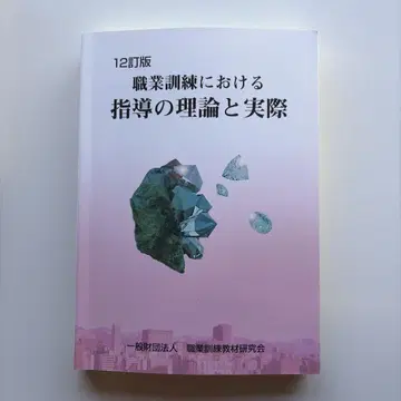 직업 훈련에서의 지도 이론과 실제 12개정판