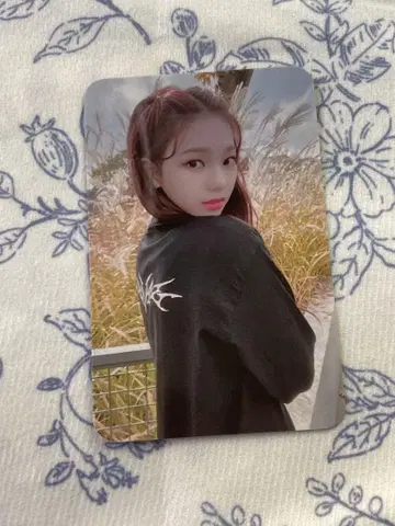 aespa Savage sgs 카리나 karina 박스 트레이딩 카드
