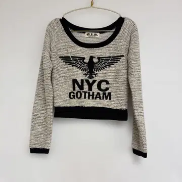 d.i.a NYC GOTHAM 크롭 니트 y2k 헤이세이 갸루