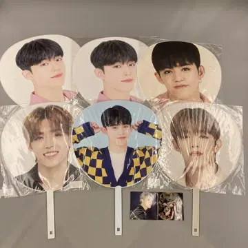 에스쿱스 부채