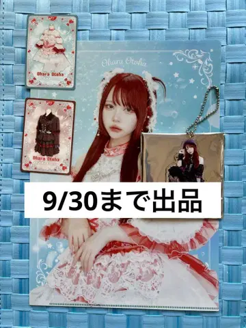 AVAM 오하라 오토하 랜덤 굿즈 세트