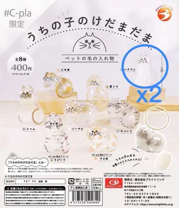 우리 집 털뭉치 하치와레 고양이 2개