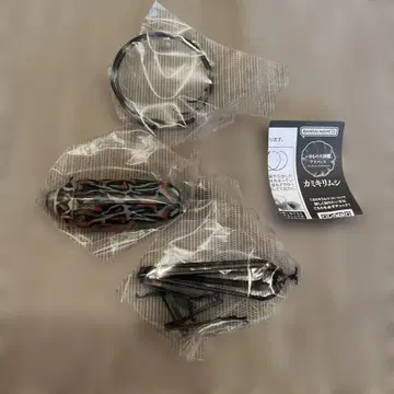 하늘소 생물대도감