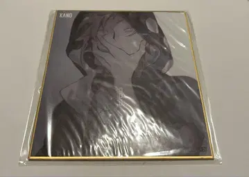 카게프로 색지 카노