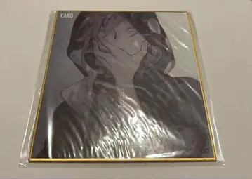 카게프로 색지 카노