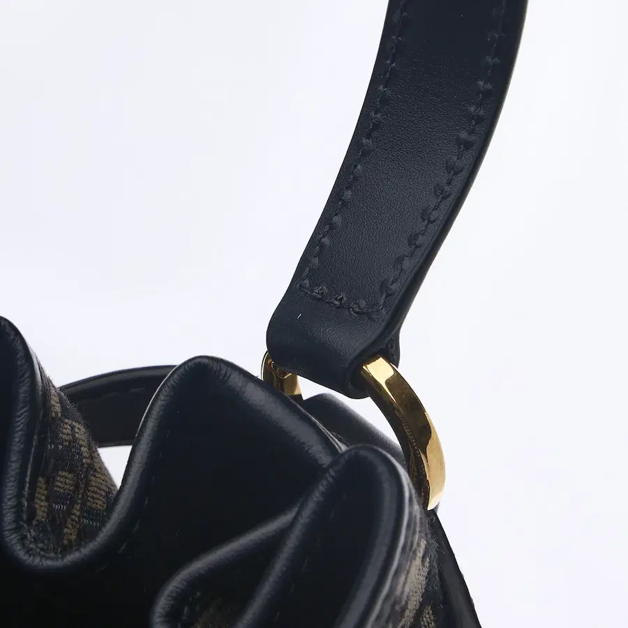Dior Oblique 帆布材质的 Dior 水桶包（中号）